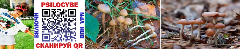 Псилоцибиновые грибы GOLDEN TEACHER  mega   Воскресенск  где найти наркотики 